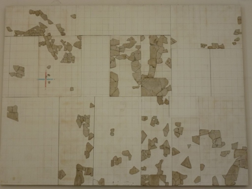 Le cadastre B avec le cardo (en bleu) et le décumanus (en rouge) (plaine d'Orange à Montélimar)