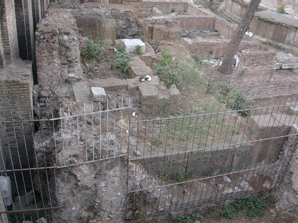 5 Largo Argentina - Resti dell'esedra centrale dei portici di Pompeo