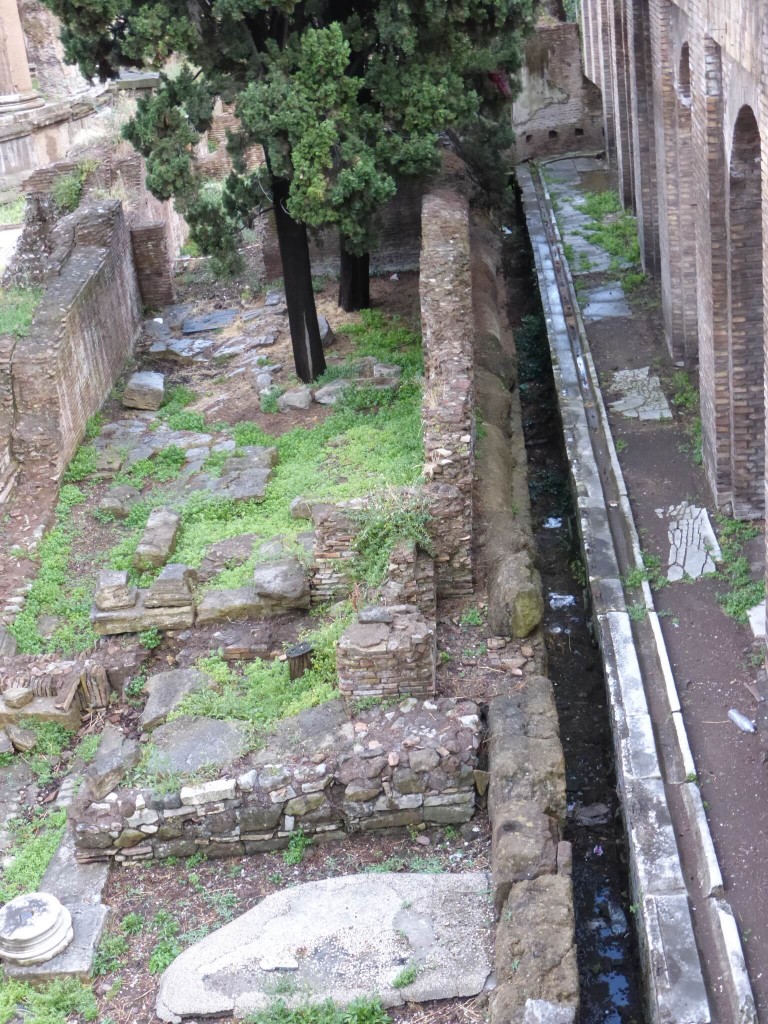 6 Largo Argentina - Resti di latrina appartenente ai portici di Pompeo