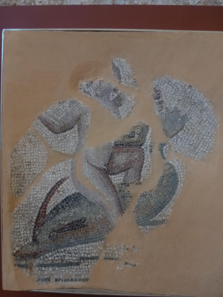 Ce fragment d'un pavement ornant probablement le frigidarium, représente un amour chevauchant un dauphin